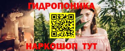 ПСИЛОЦИБИНОВЫЕ ГРИБЫ Можга