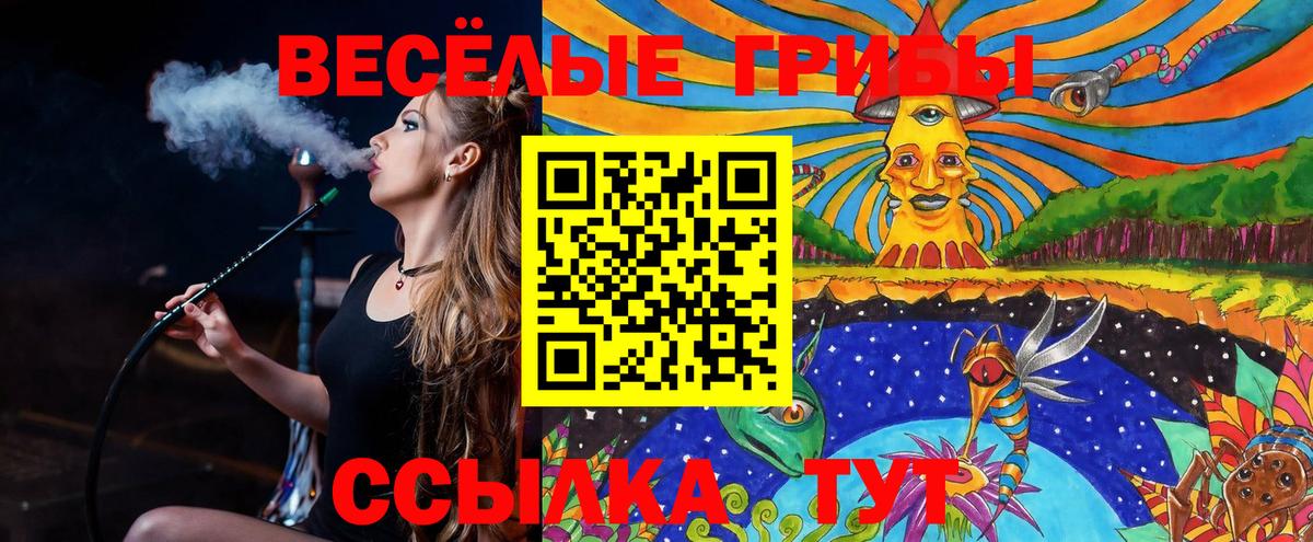 Псилоцибиновые грибы Psilocybe Сунжа