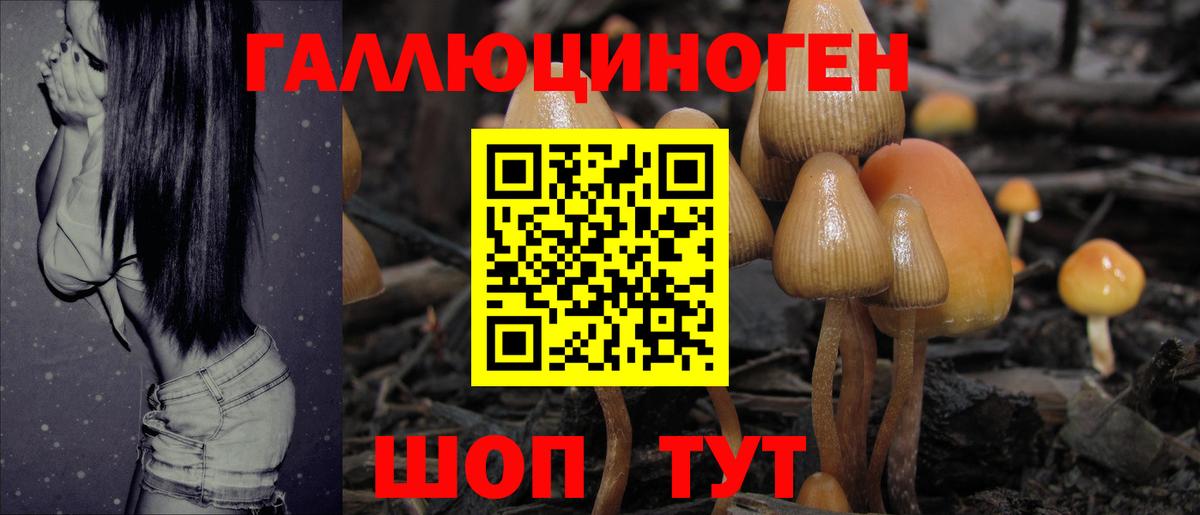 Псилоцибиновые грибы Cubensis  Вход с VPN  купить наркотик  Сунжа  Галлюциногенные грибы Psilocybine cubensis 